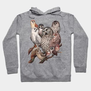 Owls of the Northeast Hoodie